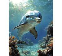 Sogno Dipingere con i Numeri per Adulti Kit Delfino Paint by Numbers Fai-da-Te su con Pennelli e Colori Acrilici Set Creativo per Adulti Principianti con Cornice per Decor Murale 80x110cm F-631