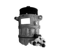 Sogoparts LR056364 Compressore A/C 12V C2D45382 Compatibile con Range Rover Sport 5.0L Compatibile con Land Rover Veicolo LR4 Sport Mk2 L494 2013 Compatibile con Veicolo Passeggeri E-Pace X540