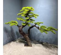 Sohodoo Albero Artificiale Luohansong Resistente ai Raggi UV: Pino Finto Realistico for Decorazioni Esterne in Tutte Le Stagioni, for Patio, Giardino e Bordo Piscina(2mx1.8m)