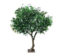 Sohodoo Albero di baniano Artificiale Che Non Richiede Manutenzione, pianta Artificiale realistica for Un Verde Che Dura Tutto L'Anno in casa, Ufficio, Patio ed Eventi(3mx2.5m)