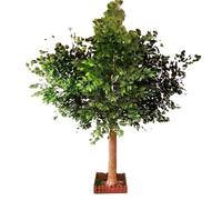 Sohodoo Albero di Banyan Finto - Soluzione Decorativa for spazi Interni ed Esterni, valorizza Il Soggiorno, l'atrio dell'ufficio, Il Patio(1mx0.9m)