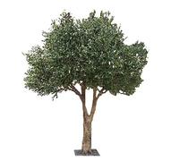Sohodoo Albero di ulivo artificiale realistico, perfetto arredo a bassa manutenzione for casa, ufficio, bar, ingresso(5mx4m)