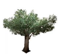 Sohodoo Alto albero di ulivo artificiale, pianta finta realistica in vaso con frutti realistici for decorare il pavimento del soggiorno(2mx1.8m)