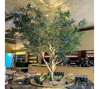 Sohodoo Elegante ulivo Finto con Tronco in Legno Naturale, Foglie e Frutti realistici for un'atmosfera Domestica Tropicale(1.5mx1.2m)