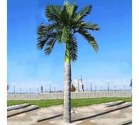 Sohodoo Palma artificiale resistente al vento, albero di cocco finto robusto con base in acciaio resistente(1m/3.3FT)
