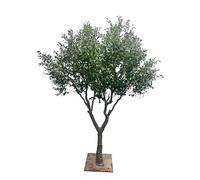 Sohodoo Ulivo artificiale, realizzato con vero legno e foglie di seta for un'atmosfera lussuosa e tropicale(5mx4m)