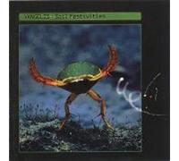 Soil Festivities by Vangelis (1990-10-25)