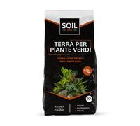 Soil Plus Substrato per Piante Verdi