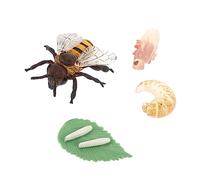 SOIMISS 1 Set di crescita delle api insetti per giocattoli simulazione della crescita delle api giocattolo di apprendimento del ciclo di vita modelli artificiali plastica