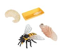 SOIMISS 1Set Educativi Del Ciclo delle Api Giocattoli Cognitivi per Realizzati Sicura e Resistente per Apprendimento Naturale e Sviluppo