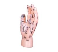SOIMISS Di Mano Per Riflessologia Punti Di Agopuntura Etichettati Adatto Per Istruzioni e Realizzato in Pvc Resistente Facile Da Pulire e Adatto Per Accademie Di Cinese e Centri Di