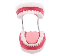 SOIMISS - Formazione Dentistica Fai Da Te Per Tecnici Della Lingua Realistici Per Dimostrazione Preparazione Finta Della Bocca Ortodontica E Uso Del Con