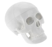 SOIMISS Modello Mini Teschio Anatomico Dettagliato per Insegnamento e Decorazione Halloween Riproduzione Realistica e Durevole Dimensioni Compatte per Studio Medico e Uso Didattico