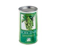 SOJICINA 500GR NON MODIFICATA 500 GR