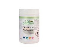 sol garden SOLGARDEN Pastiglie Igienizzanti Multiazione 200 g conf. 1 kg Nome Articolo (Titolo)