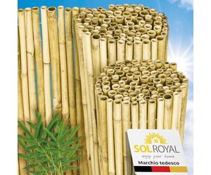 Sol Royal Premium Schermo Frangivista Bambù Chiaro Lucido 160 cm Altezza - Canne di Bambù Esterno Ø2-3cm - Schermo Privacy 160x250 cm Robusto Naturale Resistente alle Intemperie Giardino Balcone - B99