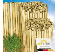 Sol Royal Schermo Frangivista Premium in Bambù per Giardino Balcone altezza | 160x250cm 160cm chiaro lucido canne di esterno Ø2-3cm privacy robusto naturale resistente alle intemperie recinzione B99