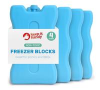 SOL Set di 4 blocchi per congelatore, riutilizzabili, per contenitori freddi, sacchetti per il pranzo e contenitori per alimenti, compatti e leggeri, ideali per picnic, campeggio, viaggi, scuola o