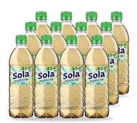 Sola a base di erbe Tè freddo al, confezione da 12 tè freddo al 0,5 Le per giornate calde, istantaneo con ingredienti veri, bottiglia di tè freddo aromatizzato spremuto