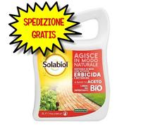 Aceto Concentrato 3 l SBM
