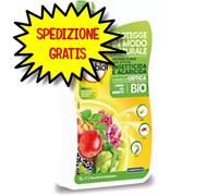 Solabiol Estratto di Ortica Concentrato. Preparato con attività Insetticida Acaricida Naturale. Potenzia Le difese delle Piante Contro Le infestazioni di Insetti. Ideale per Orto e Giardino. 1L