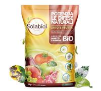 Zeolite Cubana Polvere Micronizzata Insetticida Fungicida Difesa Piante 2 kg BIO