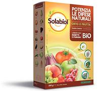 Solabiol Zeolite Cubana, Polvere di roccia, Corroborante che combatte e previene insetti e funghi delle piante. Ideale per orto, frutteto floreali e ornamentali. 250g