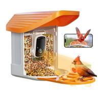 Solar Powered Smart Bird Feeder Camera - Waterproof Bird Feeding Station with AI Species Detection - App Controlled Squirrel Proof Birdfeeders Outside Hanging - Delightful Gift for Birdwatchers
