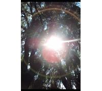 Solar Radiation, Global Warming and Human Disease