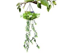 Solarblumenleuchte Garten - LED Künstliche Blumen Mit Erdspieß | Dekorative Solar-Gartenleuchte Für Außen, Terrazza, Balkon &, IP65 Wasserdicht, Umweltfreundliche Solarbeleuchtung, 20 x 75 cm