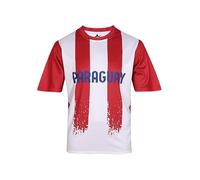 Solastride Maglia da Calcio Uomo 2026 casa della Squadra Nazionale Versione Fan Supporta più Squadre in Europa/America/Asia/Africa(Paraguay,XL)
