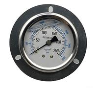 Solaughguy YN-60ZT Manometro sismico bordo assiale per la misurazione industriale della pressione di olio, idraulica e aria - Diametro del viso di 60 mm, rame e acciaio inossidabile (0-250KG)