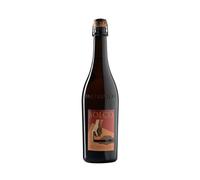 SOLCO Lambrusco dell’Emilia IGT semisecco frizzante 2024 - Paltrinieri
