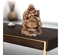 Soldi del Buddha che ride La fortuna della ricchezza del rospo della rana d'oro