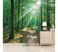 Sole Fresco 3D Della Foresta Verde 3D Carta da Parati Premium Aspetto Della Seta Studio Soggiorno Camera Letto Parete Divano Muro-250cm×170cm