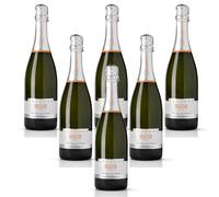 Soleccio Spumante Brut Metodo Charmat Az.Agr. Trequanda 1 bottiglia 75 cl.
