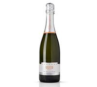 Soleccio Spumante Brut Metodo Charmat Az.Agr. Trequanda (1 bottiglia 75 cl.)