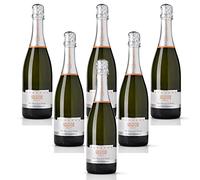 Soleccio Spumante Brut Metodo Charmat Az.Agr. Trequanda (6 bottiglie 75 cl.)