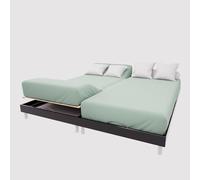 Soleil d'ocre, Lenzuolo con angoli TPR in cotone 57 fili 2x70x190 cm UNI verde d'eau