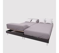 Soleil d'ocre, Lenzuolo con angoli TPR in cotone 57 fili 2x80x200 cm UNI grigio