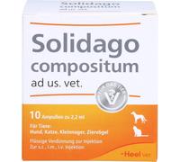 Solidago compositum vet. Ampollas (10 uds.)