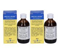 Solidago Dreno-Herb Composto S65 2x50 ml Soluzione orale