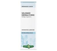 SOLIDAGO TINT IAL 50ML EBV