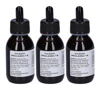 Solidago Virga A Tm Gocce100Ml 3x100 ml Gocce orali
