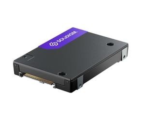 Solidigm Serie D7-PS1010 - SSD - Enterprise - 7.68 TB - interno - 2.5" (6.4 cm) - U.2 PCIe 5.0 x4 (NVMe)