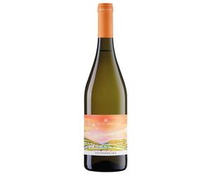 Soligo Marca Trevigiana Souvignier Gris IGT 2024 0,75 ℓ