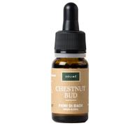 Solimè CHESTNUT BUD 10 ML