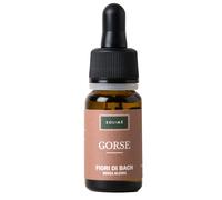 Solimè GORSE 10 ML