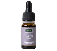 Solimè LARCH 10 ML