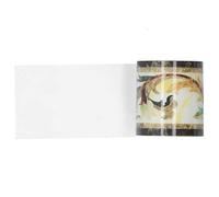 Solinder Bordo per Parete in Materiale PVC, 5x500cm | Adesivo autoadesivo, resistente all\'usura, per , bagno, arredamento fai da te